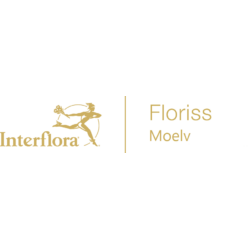 Floriss-Interflora-Moelv